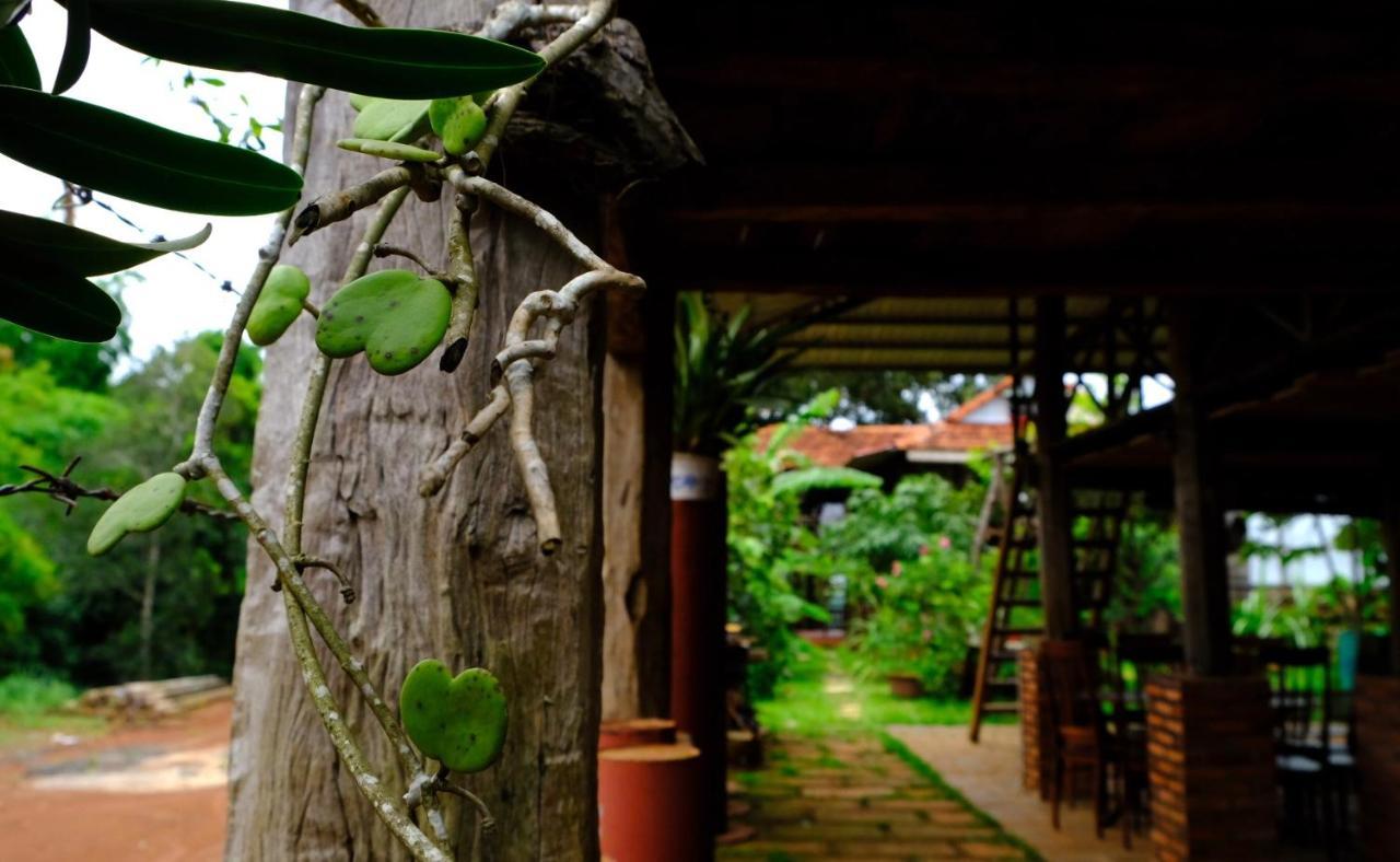 Plei Homestay & Cafe Pleiku Exteriör bild
