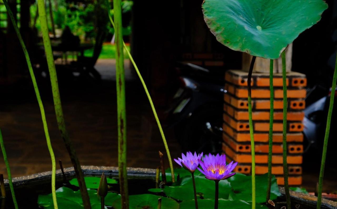 Plei Homestay & Cafe Pleiku Exteriör bild